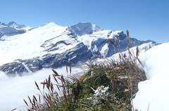 Grossglockner