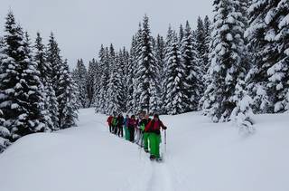 Vinter Adventure Østrig